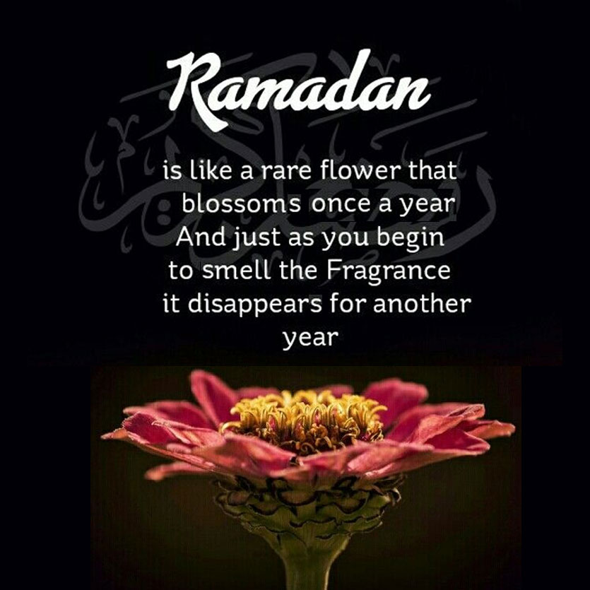 Ramadan Is Like A Rare Flower