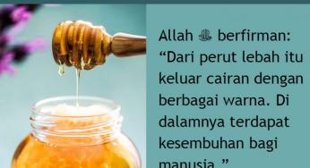 ANEKA KHASIAT MADU ATAU ‘ASL
