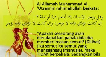 BAHKAN MEMBERI MAKAN SEMUT PUN BISA BERPAHALA