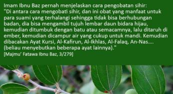 BENARKAH DAUN BIDARA BERKHASIAT UNTUK MENGUSIR SIHIR DAN JIN?