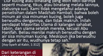 APAKAH AIR LIUR KUCING NAJIS?