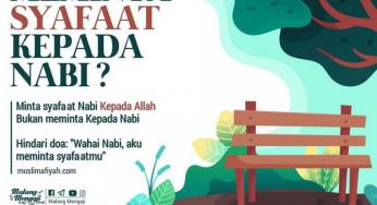 JANGAN MEMINTA SYAFAAT KEPADA NABI