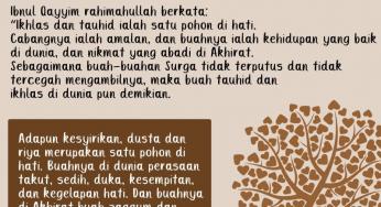 DI ANTARA HIKMAH PENYERUPAAN IMAN DENGAN POHON