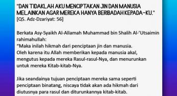 APAKAH HIKMAH DICIPTAKANNYA JIN DAN MANUSIA?