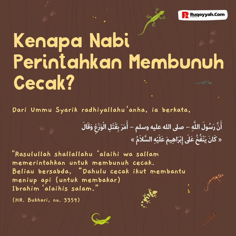 KENAPA NABI PERINTAHKAN MEMBUNUH CECAK?