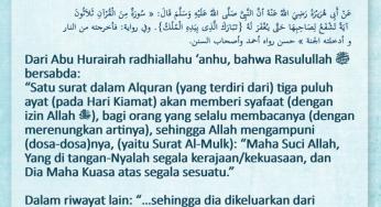 Download 61+ Contoh Surat Al Mulk Fadhilah Terbaru Gratis