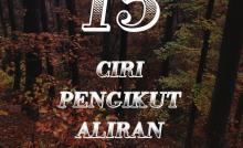 15 CIRI PENGIKUT ALIRAN SYIAH