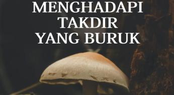 TIPS IBNUL QAYYIM DALAM MENGHADAPI TAKDIR YANG BURUK